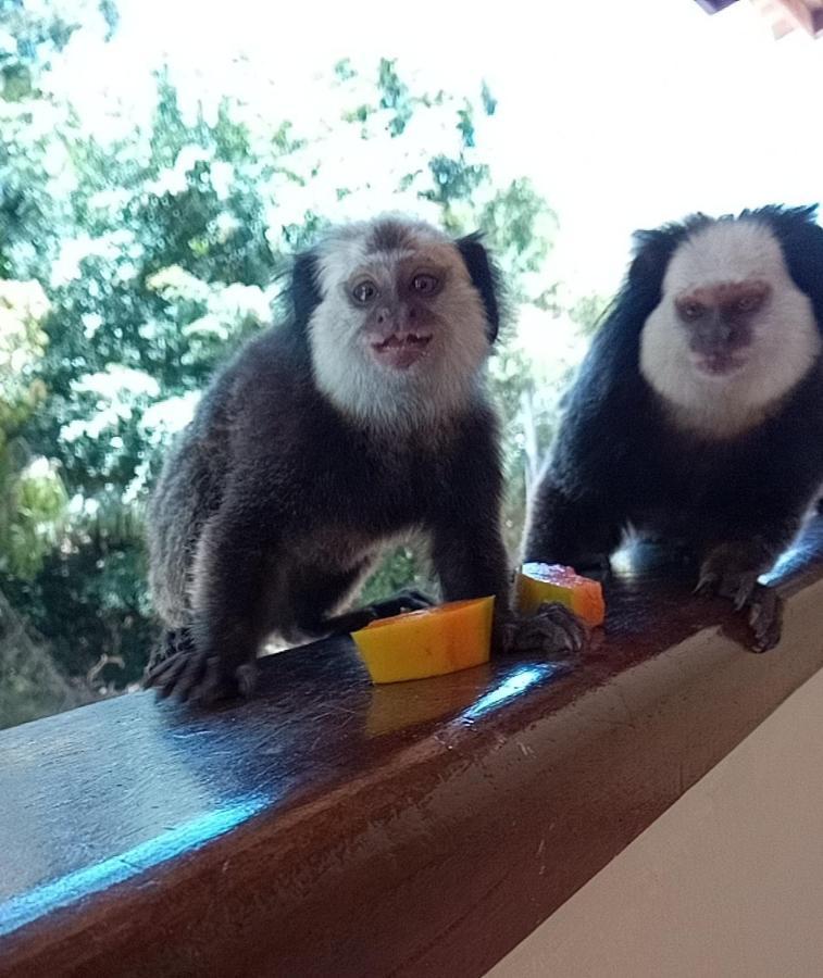 Pousada Villa Quietam